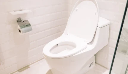 Toilet Repair & Installation