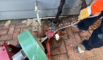 drain cleaning