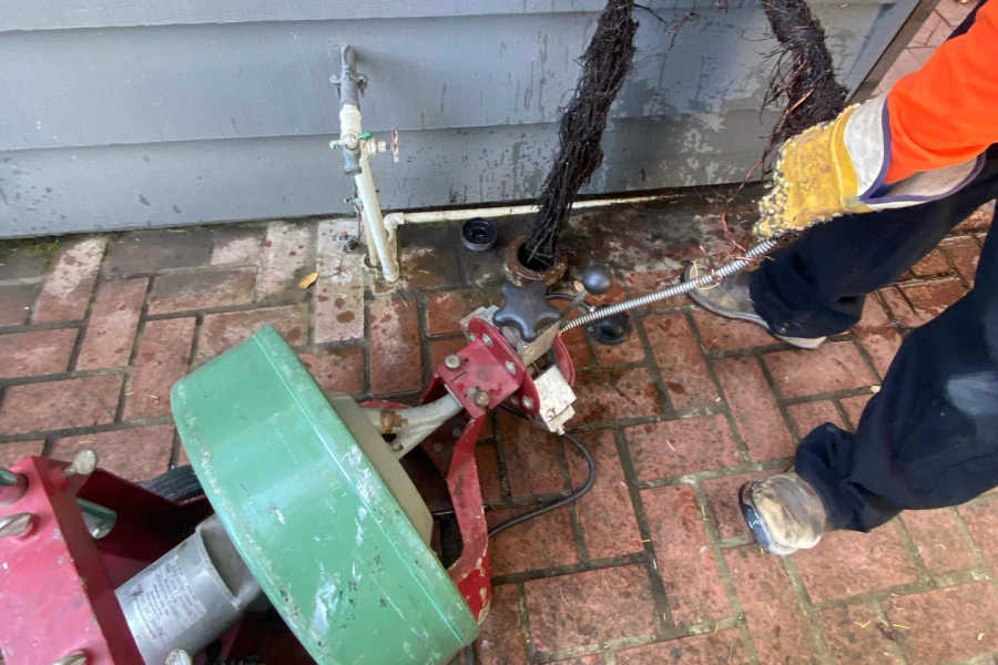 drain cleaning